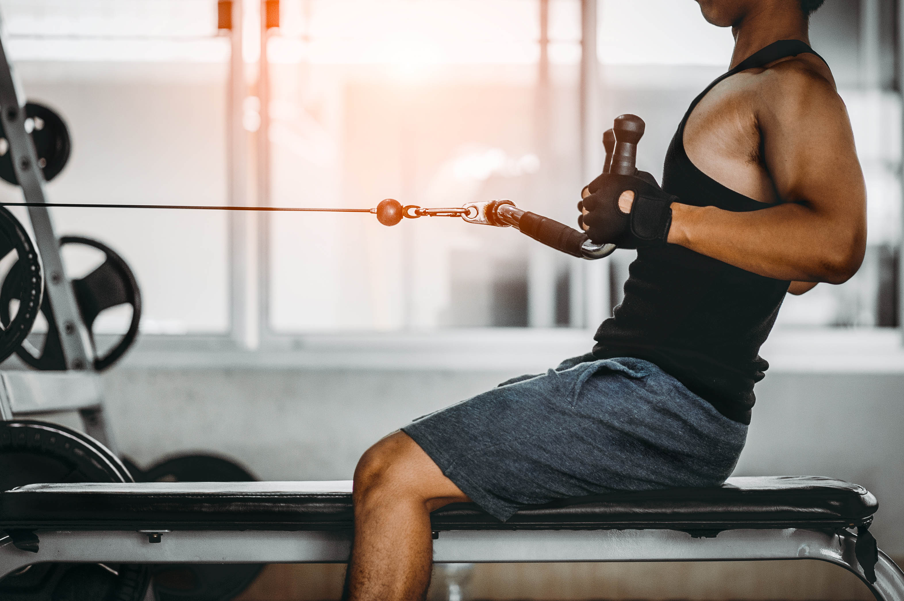 Torso of young, fit man doing a seated cable row in the gym Torso of young, fit man doing a seated cable row in the gym